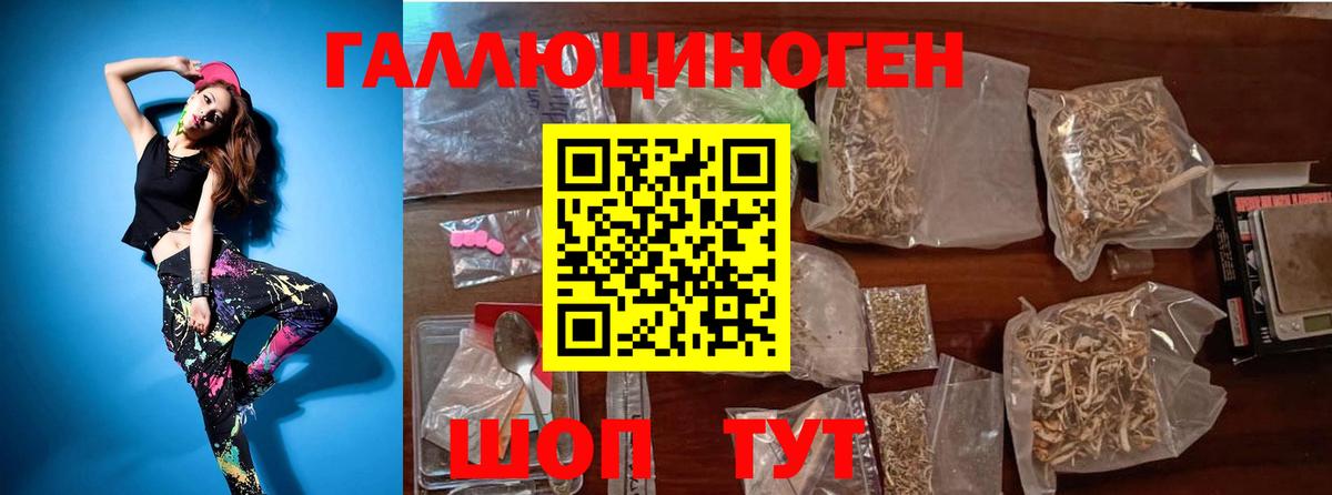 Псилоцибиновые грибы Psilocybe Кизляр